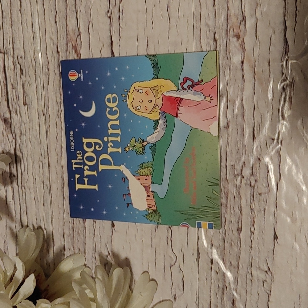 The Fringe Prince mini book by Usborne